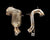 BlackBoost Catless Downpipes for Mercedes-Benz S500 (W222) M256 3.0L I6 Turbo (2017-2020) | 7aftermarket Dubai UAE