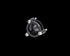 BlackBoost FTA Adapter for Mercedes-Benz GLC300 (X253/C253) M274 2.0L I4 Turbo (2016 – 2019)