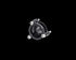 BlackBoost FTA Adapter for Mercedes-Benz E250 (W213/C238) M264 2.0L I4 Turbo (2017 – 2020)