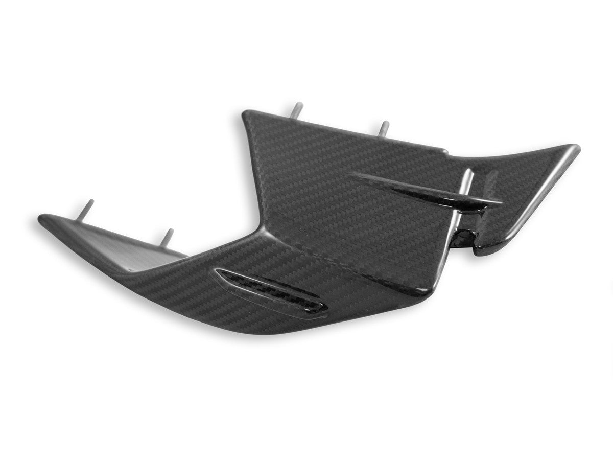 DBK Special Parts Glossy Carbon Winglets for BMW S1000RR (2023-2024 ...