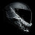 Ruroc ATLAS 4.0 Carbon Jormungandr Helmet | 7aftermarket Dubai UAE